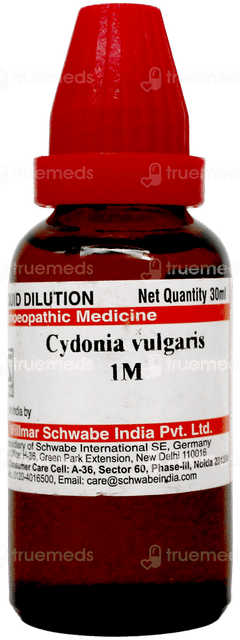 Dr Willmar Schwabe Cydonia Vulgaris 1M Dilution 30Ml
